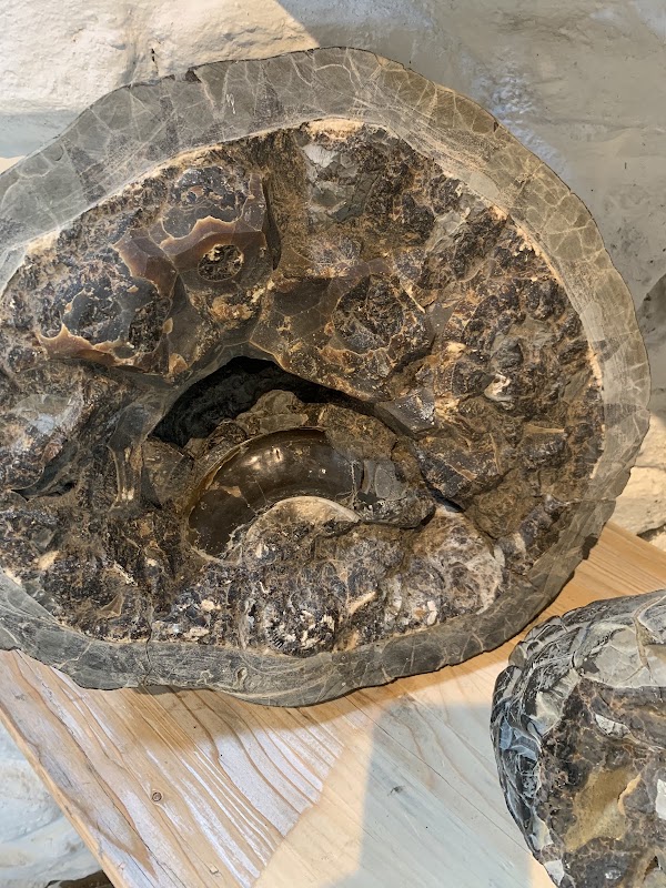 Staffin Museum ( Dinosaur fossils and other artifacts) 3