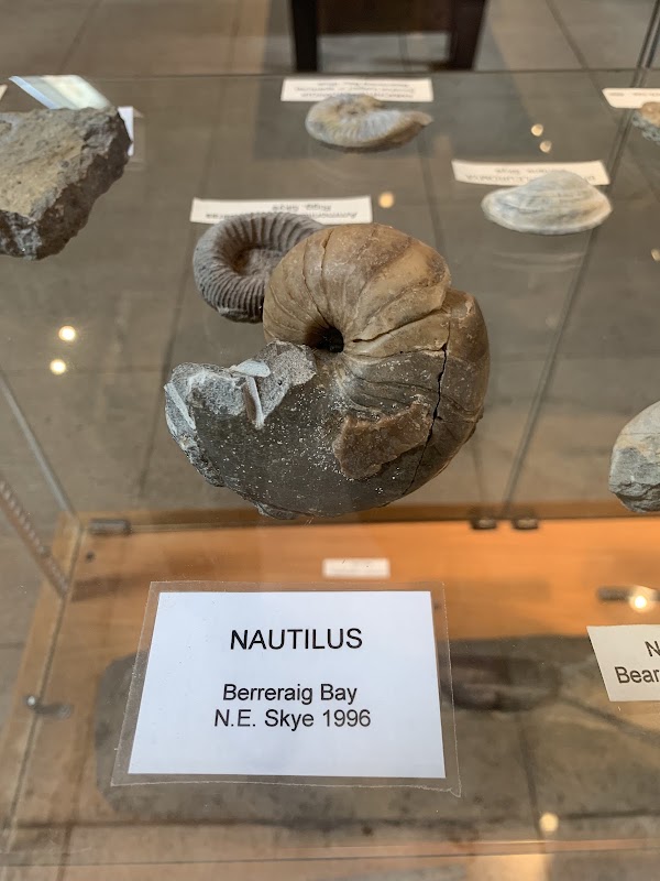 Staffin Museum ( Dinosaur fossils and other artifacts) 2