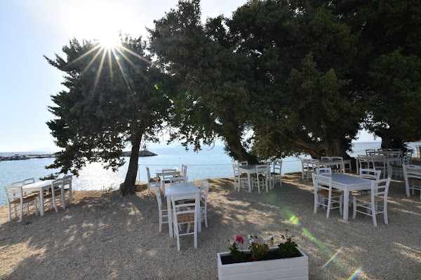 Kedros Restaurant Paros