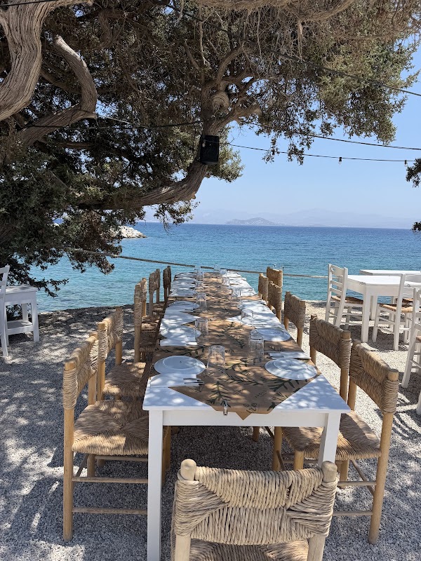 Kedros Restaurant Paros 5