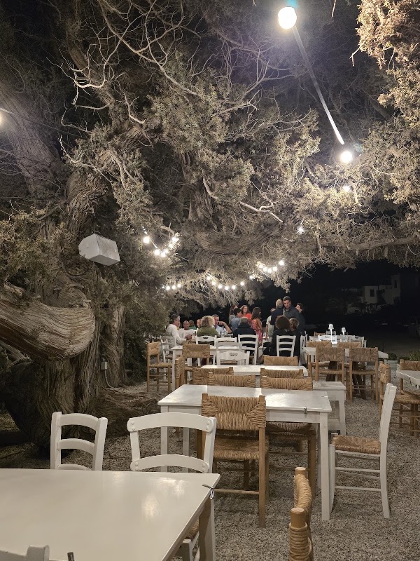 Kedros Restaurant Paros 2