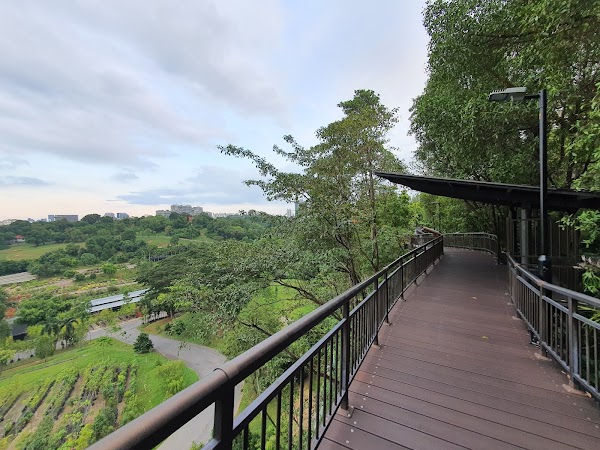 Kent Ridge Park