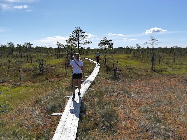 Selisoo hiking Trail