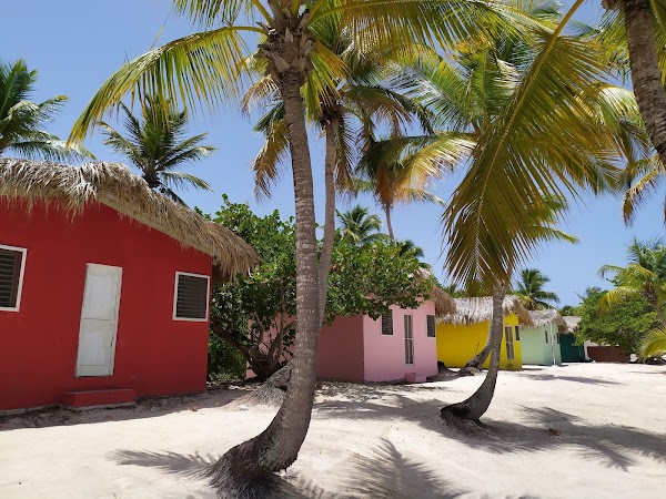 Isla Catalina 4