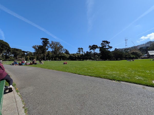 Robin Williams Meadow 4