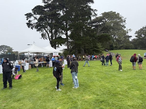 Robin Williams Meadow 2