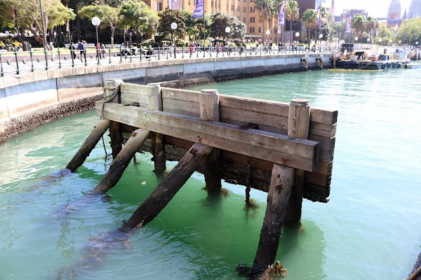 Circular Quay 3