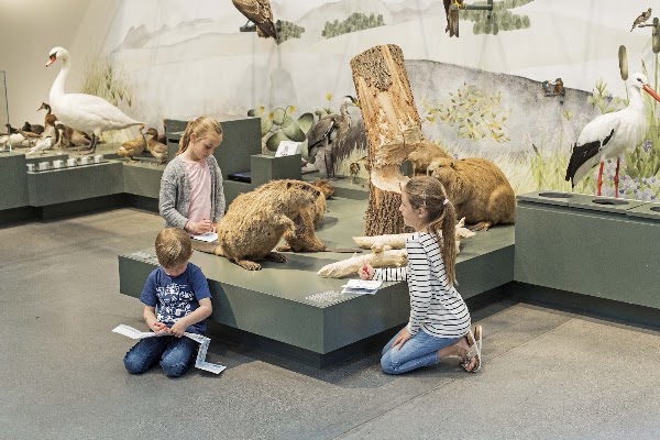 Natural History Museum St. Gallen 5
