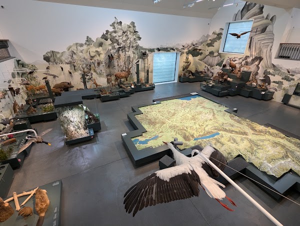 Natural History Museum St. Gallen 4