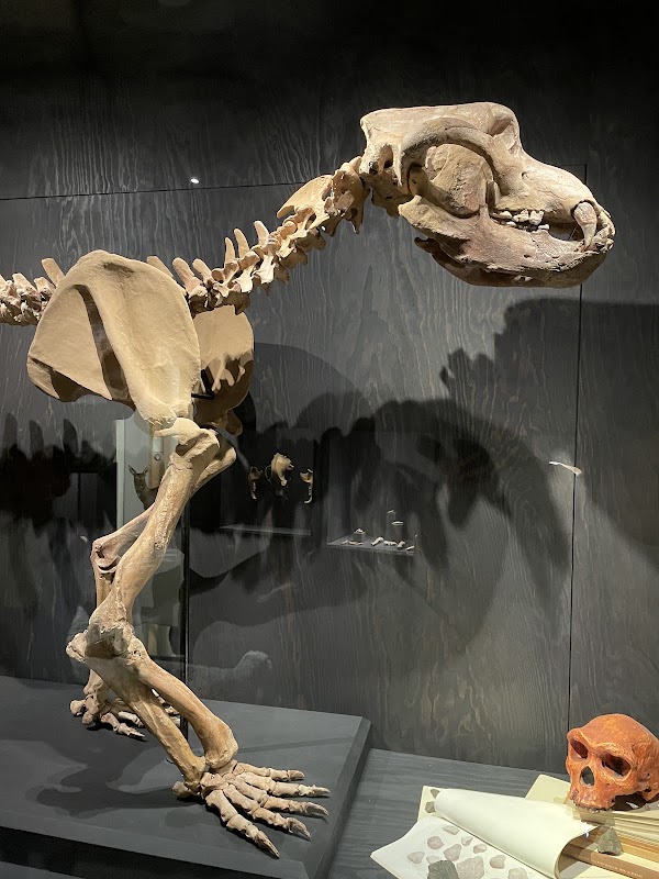 Natural History Museum St. Gallen 2
