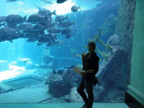Marine Habitat At Atlantis 5