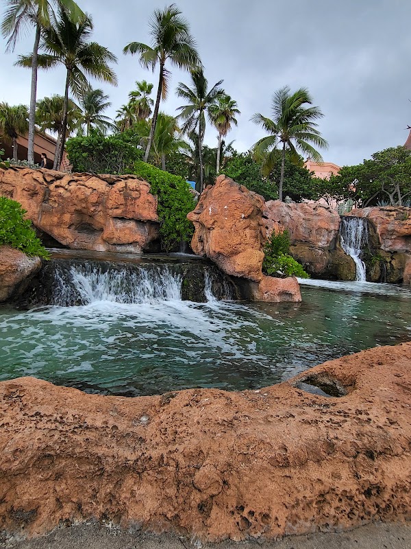 Marine Habitat At Atlantis 4