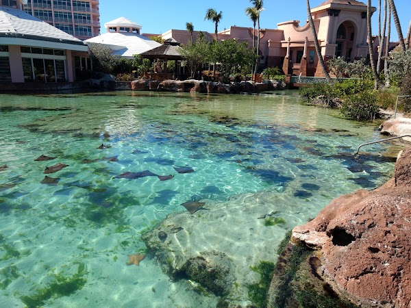 Marine Habitat At Atlantis 2