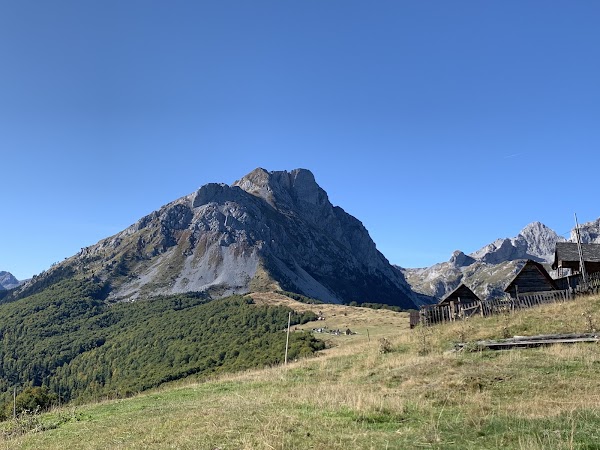 Komovi