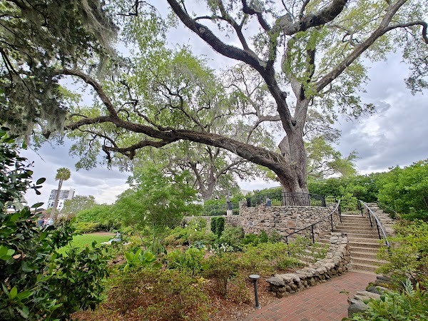 Cummer Museum of Art & Gardens 4