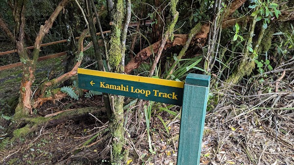 Kamahi Loop Track 3
