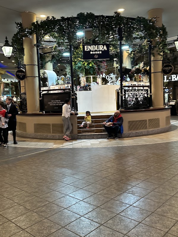 Trafford Centre