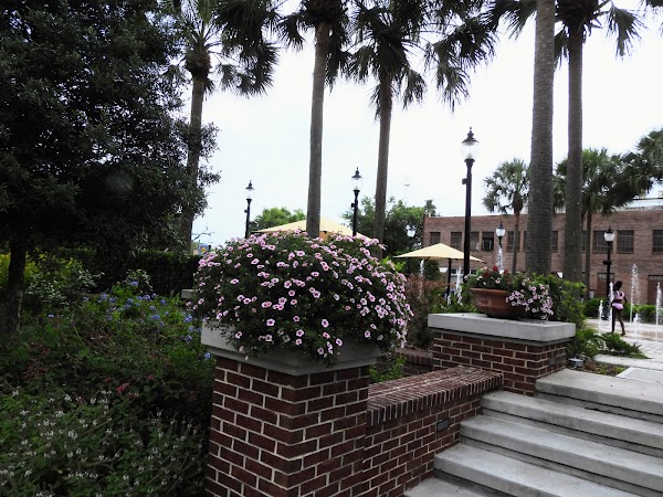 Winter Garden 5