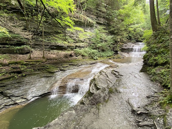 Gorge Trail 1