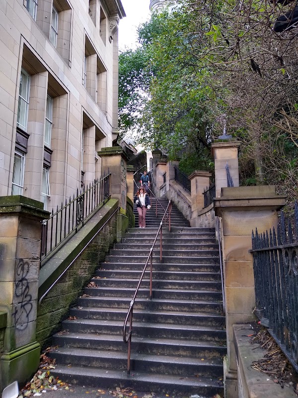 The News Steps