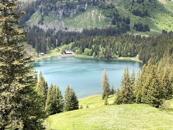 Suisse 63