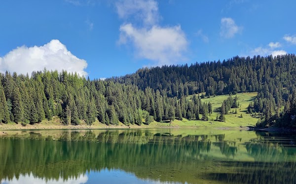 Lac des Chavonnes 5
