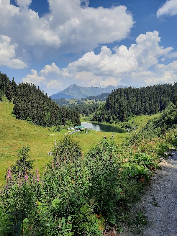 Lac des Chavonnes 4
