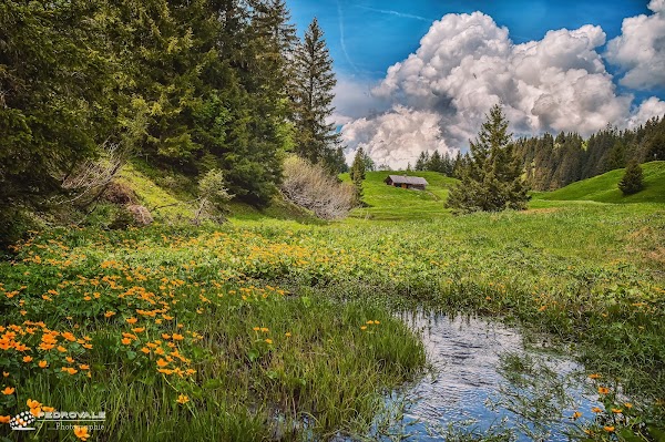 Lac des Chavonnes 2