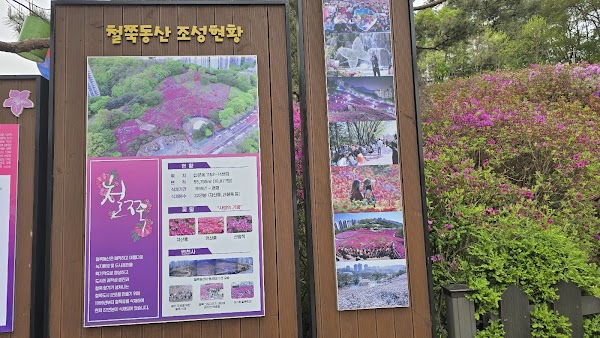 군포철쭉축제 3