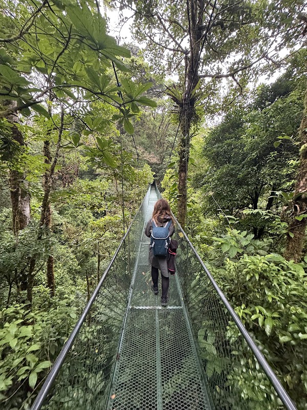 100% Aventura Puentes Colgantes Monteverde 5