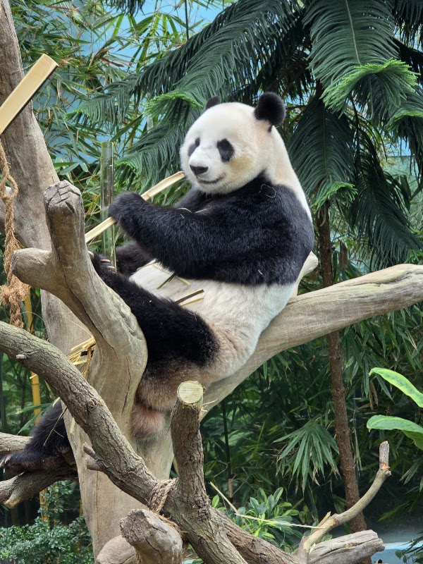 Mandai Wildlife Reserve 5
