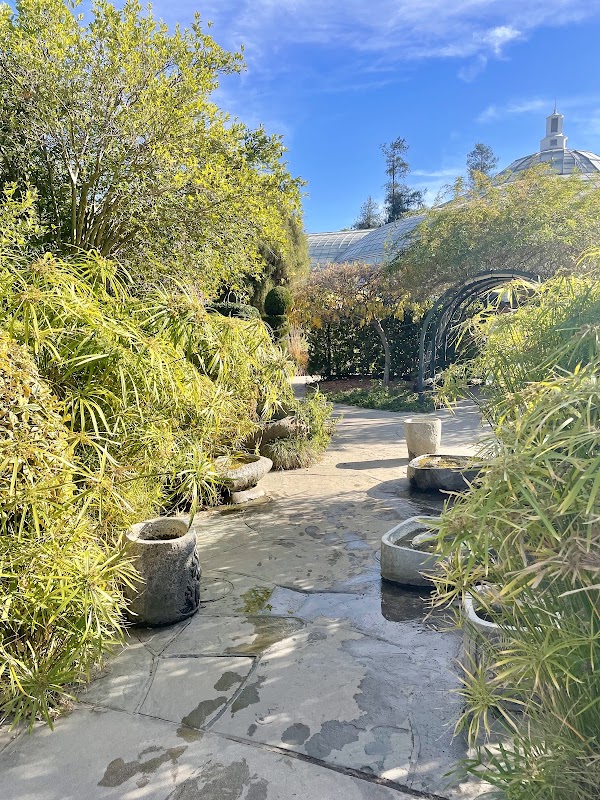 Children's Garden