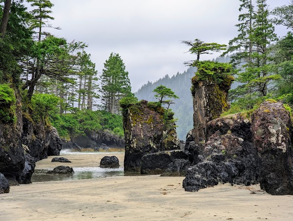 Cape Scott Park
