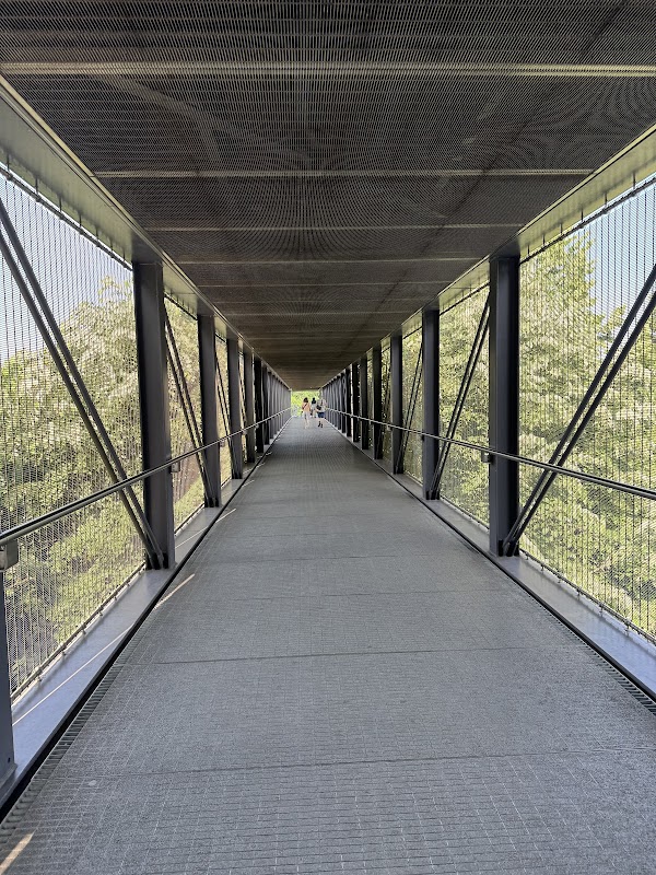 Panoramic Elevator of the Pfaffenthal 4