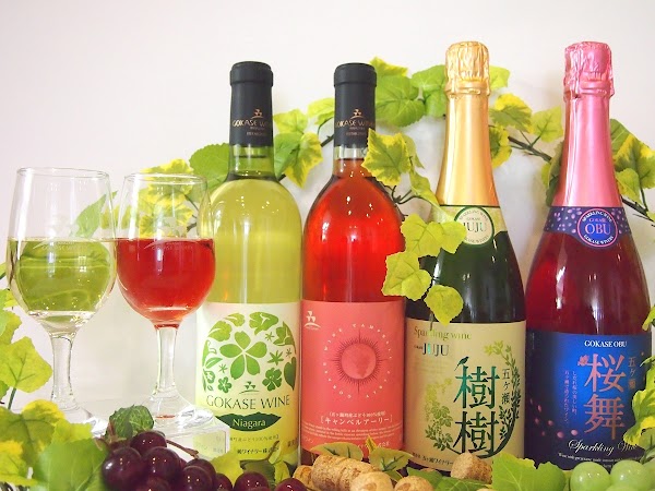Gokase Winery 1