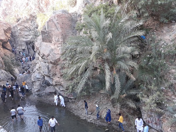 Wadi Shees 5