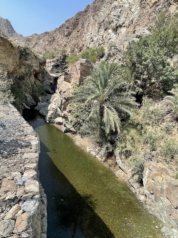Wadi Shees 4