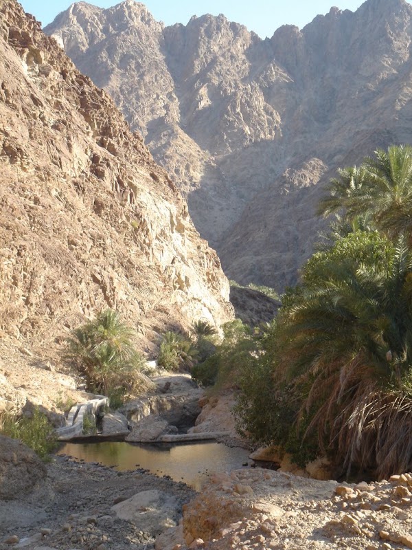 Wadi Shees 3