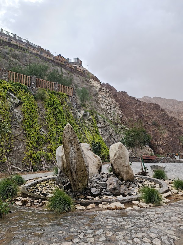 Wadi Shees 2