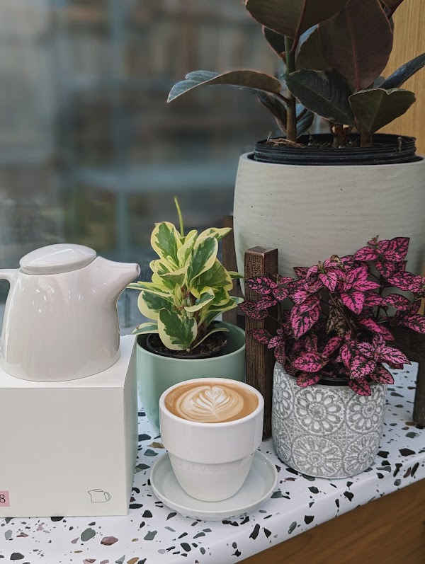 Palms Coffee Bar 5