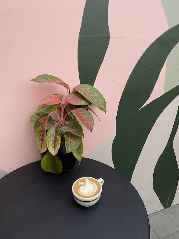 Palms Coffee Bar 4