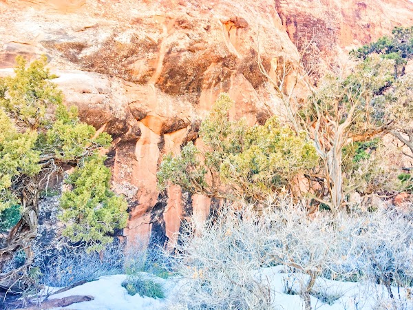 Landscape Arch 2
