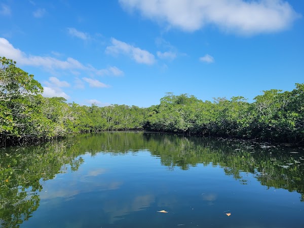 John Pennekamp Coral Reef State Park