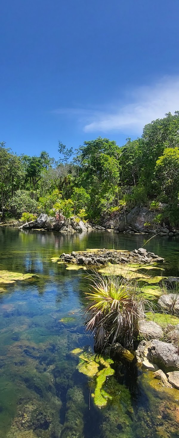 Xel-Ha 1