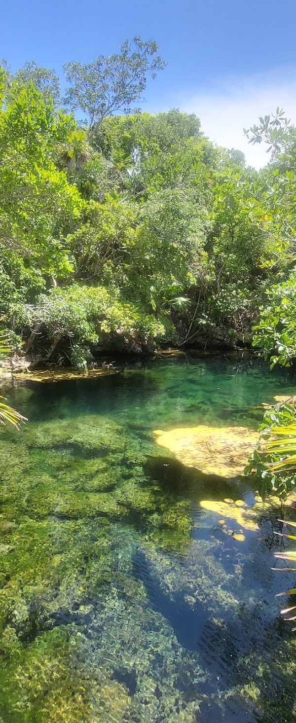 Xel-Ha 4