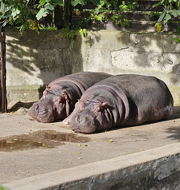 Riga National Zoological Garden 5