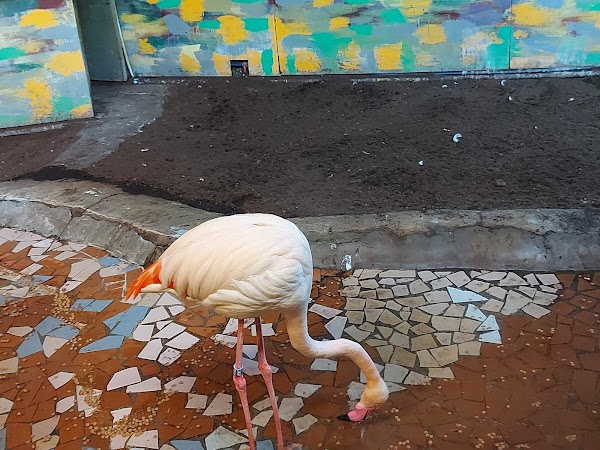 Riga National Zoological Garden 3