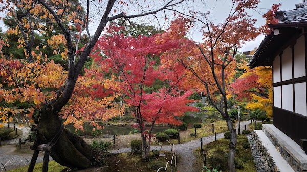 Tōji-in Temple 4
