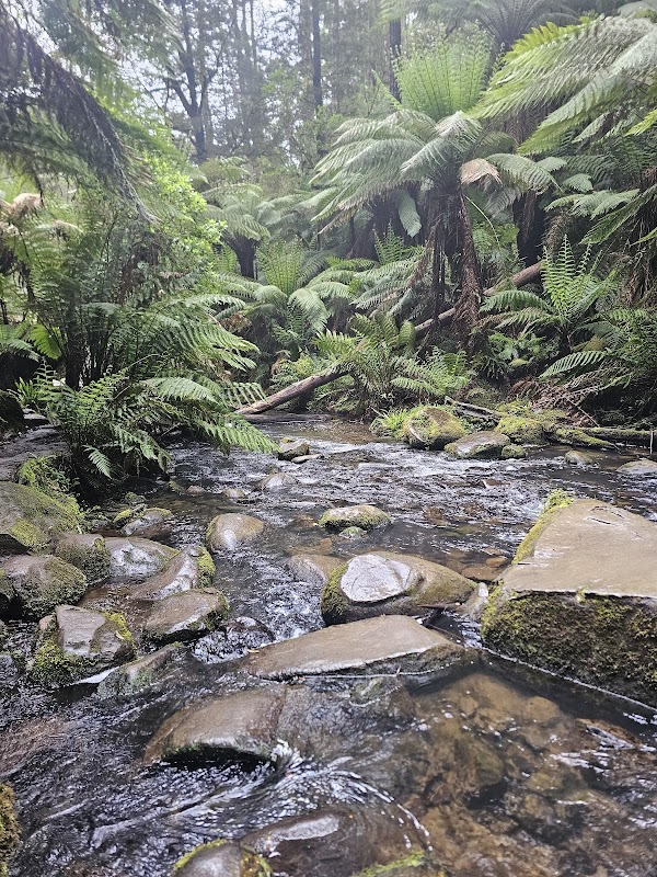 Beauchamp Falls Campground 4