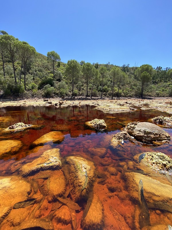Rio Tinto